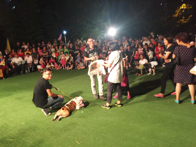 星河世纪携波奇服务庆中秋迎国庆——纳凉晚会