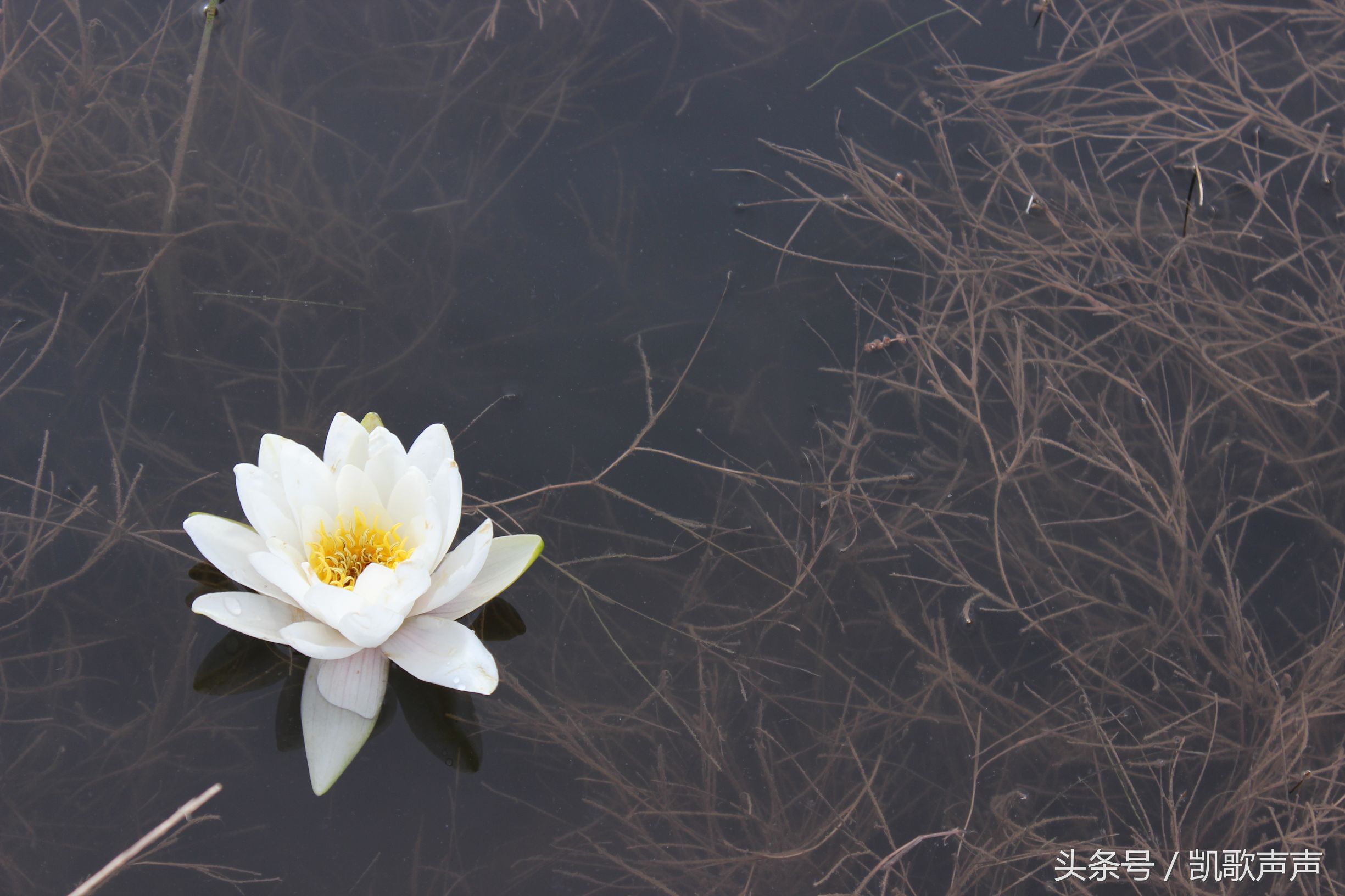 母亲祭文怎么写,母亲与16岁儿子关系不好怎么办