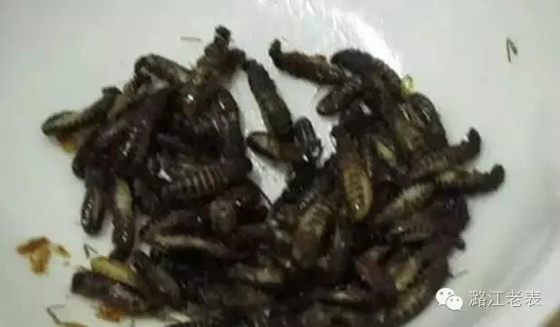 云南昆虫宴美食,云南特色虫宴
