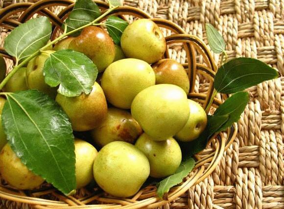 男人健康饮食菜谱,男人养生健康知识食谱