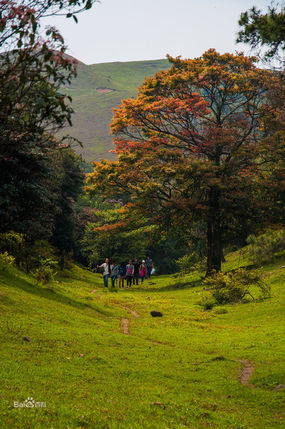 广东的草原在哪,广东附近哪里有草原