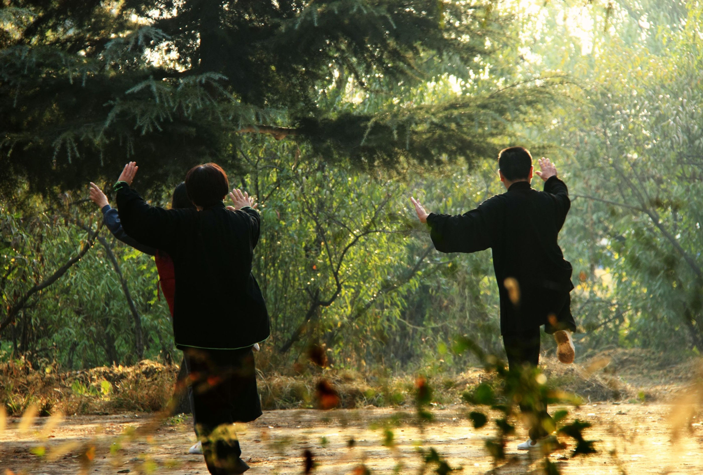 河南的拳,河南有什么拳