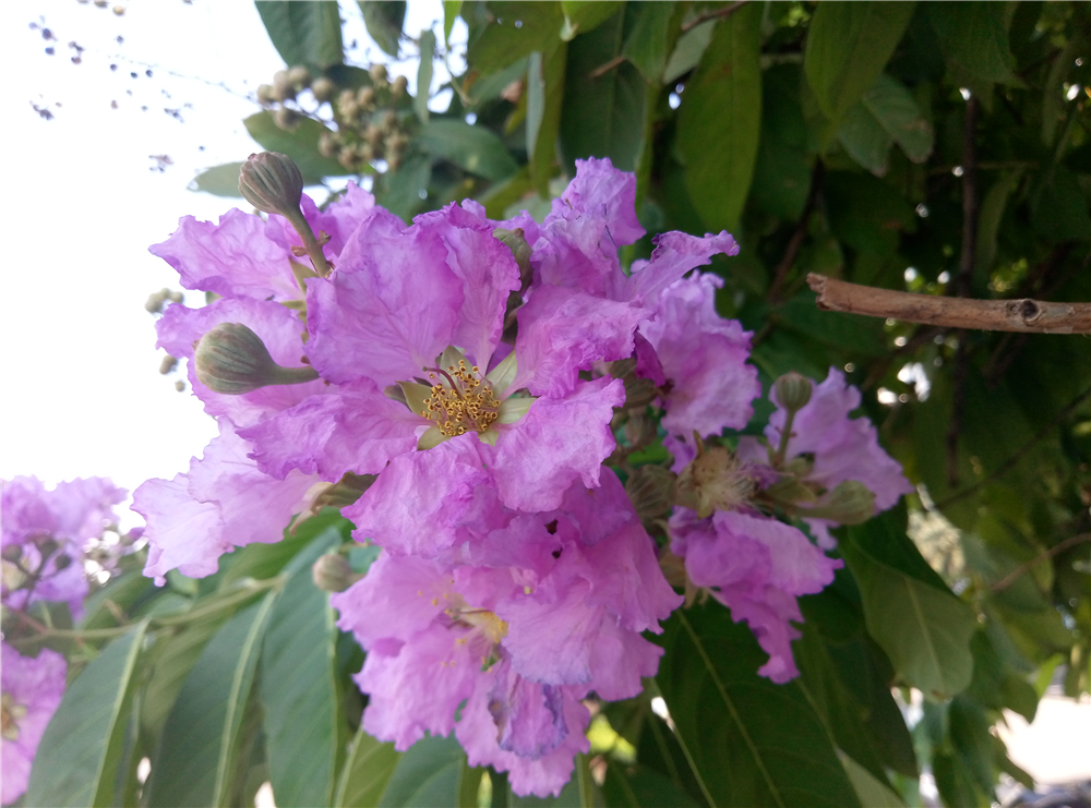 颜值加持,魅蓝e全部参数