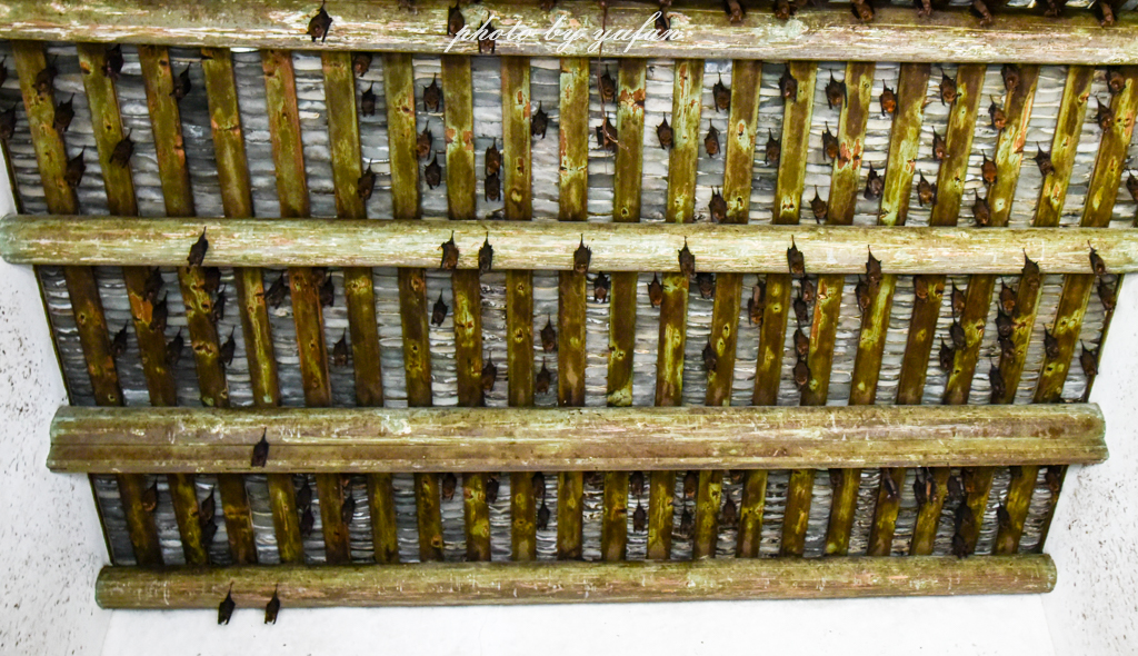 桥溪古韵宝善楼和继善楼哪个先建,桥溪古韵里除了继善楼还有什么楼