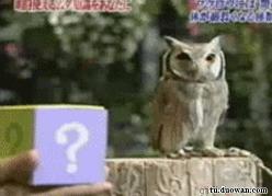 剪刀脚王局长,夺命剪刀脚王局长教学