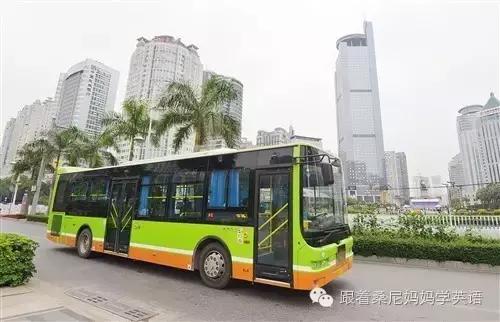 哈丽特的成长故事英语绘本,儿童成长英语故事大全