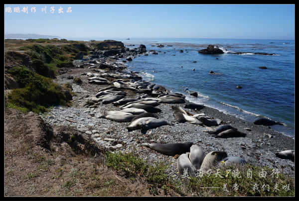 美西自驾6日游,美西10天自驾