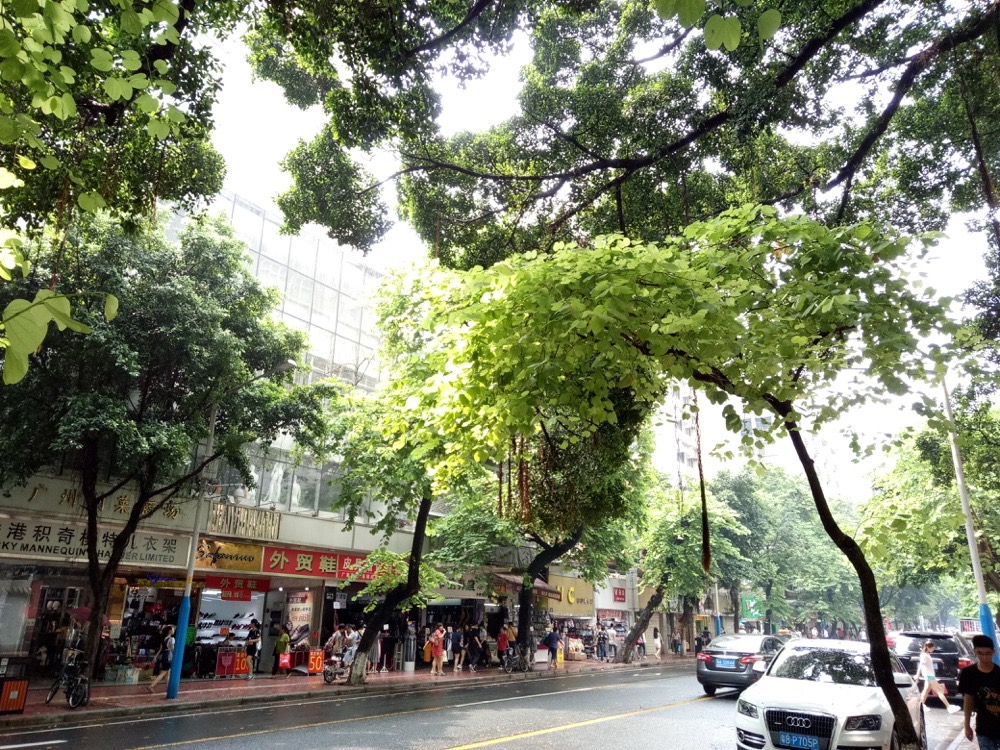 魅蓝u20值得入手吗,魅蓝u20好用么