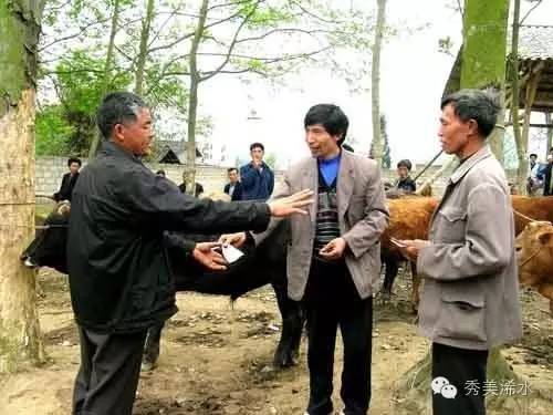 浠世好文细说“打牛鞭”