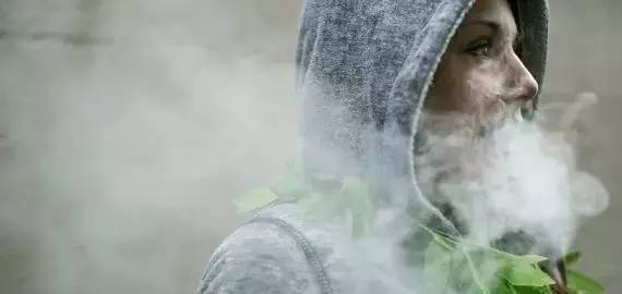 史上第一！加拿大推出买*麻大**专用APP！*麻大**是加国人民的真爱