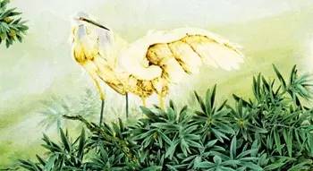 聪明的姑娘取悦别人不如经营自己,聪明的女孩子要取悦自己