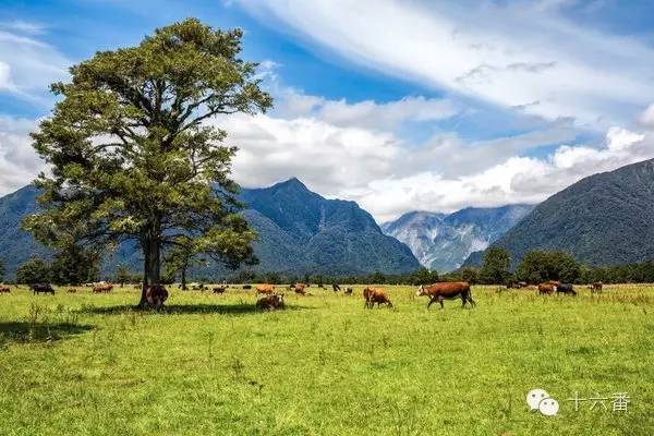 一张照片一段时光油画,随手一拍都是一幅画