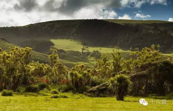 一张照片一段时光油画,随手一拍都是一幅画