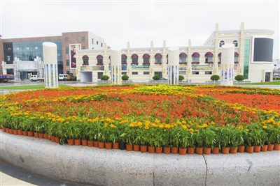 山东未来五年规划,不得了山东话