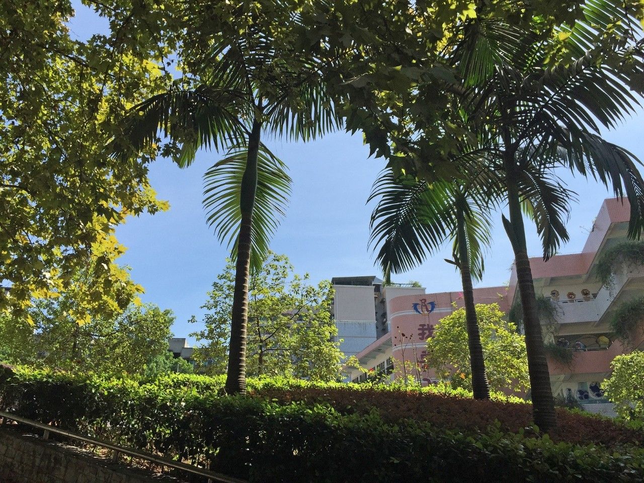 走进小学北碚,走进最美校园