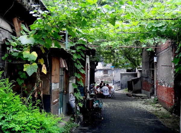 豆瓣相册全集视频,豆瓣相册北京