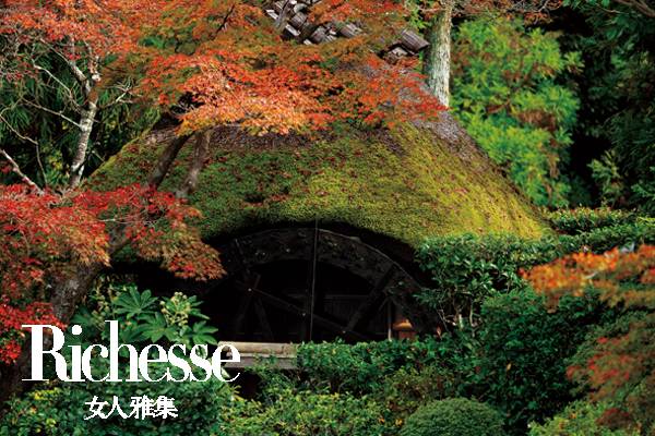 隈研吾建筑大师,日本建筑师隈研吾别墅