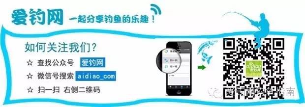 投稿调漂,你被铅皮座忽悠了吗?