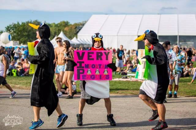 ElectricZooiscomingtoShanghai!|纽约“电子动物园”空降上海，开园派对倒计时！