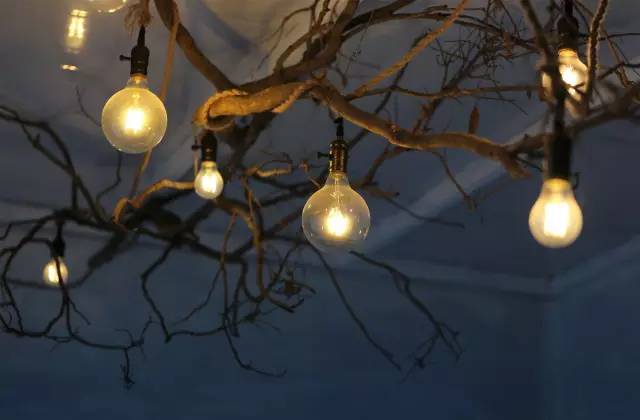 美爆了！台风过后，那些残根断枝竟然这么有用！赶紧学起来...