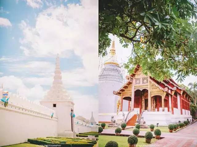 免费住|春田花花：香港混血掌柜在清迈致青春游世界