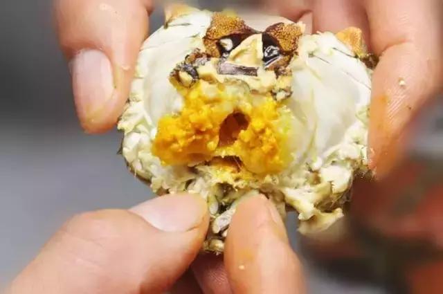 大闸蟹知识教程,大闸蟹基础知识培训