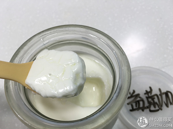 养出来的酸奶,比较好的酸奶发酵菌