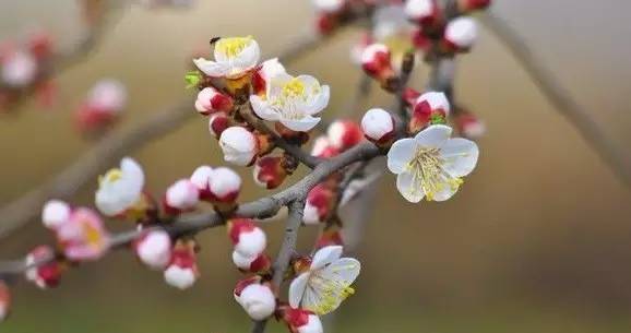 什么样的诗才是好诗阅读理解,什么样的诗才算诗