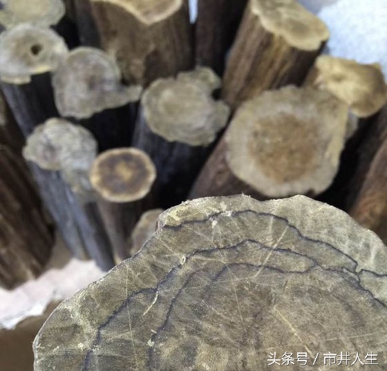 檀香沉香助眠安神,安神助眠的熏香沉香