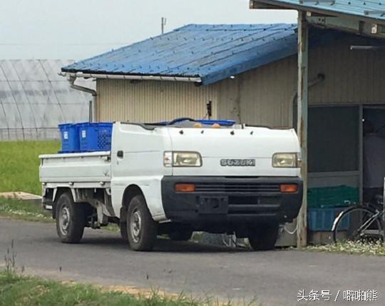 噼啪熊每日一槽NO.15