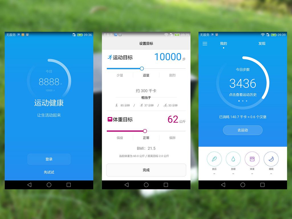 荣耀的旗舰系列,荣耀的旗舰手机