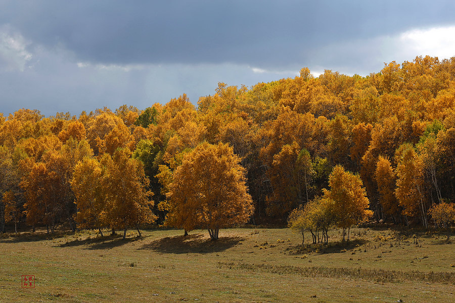 坝上草原雪景航拍,坝上草原秋景美图