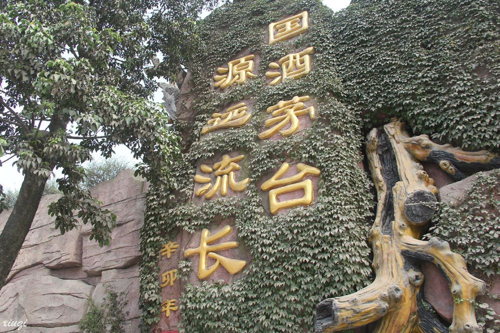 贵州茅台镇酱香老坛密藏,茅台镇洞藏老坛酒