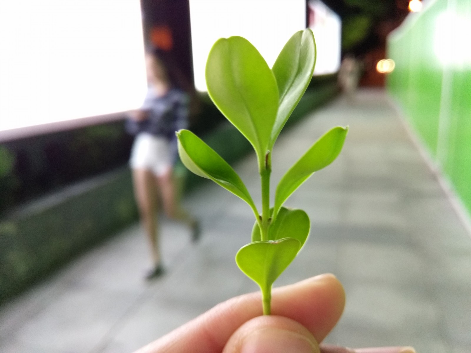 酷派cool1开箱视频,酷派cool1配置