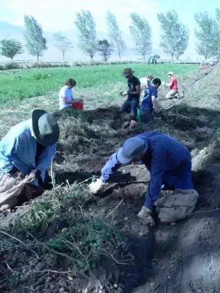 美国深泉学院怎么样,深泉学院的有趣和神奇之处