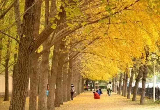 来成都要知道的新玩法,来成都一定要做的九件事