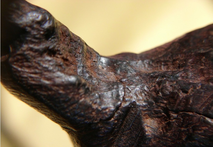 奇楠种类是这么分辨的