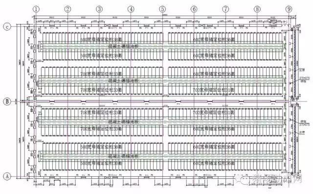 普通母猪场设计图纸,100头标准母猪场设计图