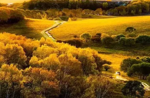 不需要知道你离世的理由，只愿你在天堂能重展笑容！