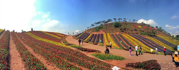 重庆免费景点一览表大全,重庆免费景点合集