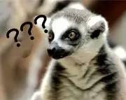 干货丨“心脏阀门”二尖瓣出故障了怎么办？