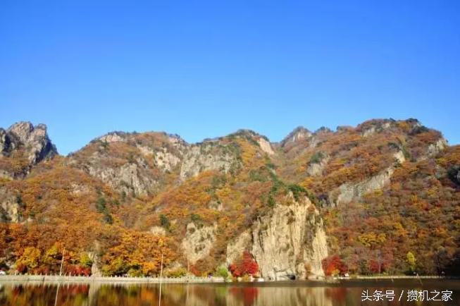 微型单镜头反光相机推荐,最常见的相机有单镜头反光相机吗