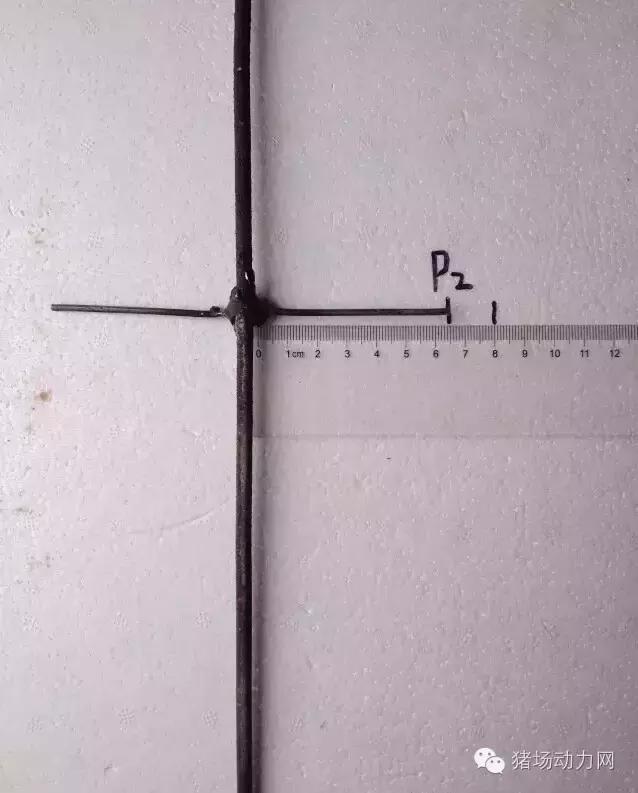 猪场铲粪的工具,铲猪粪神器