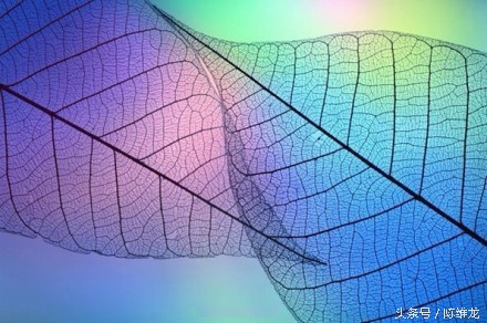 优秀软文文案背后的技巧,文案编辑写作技巧