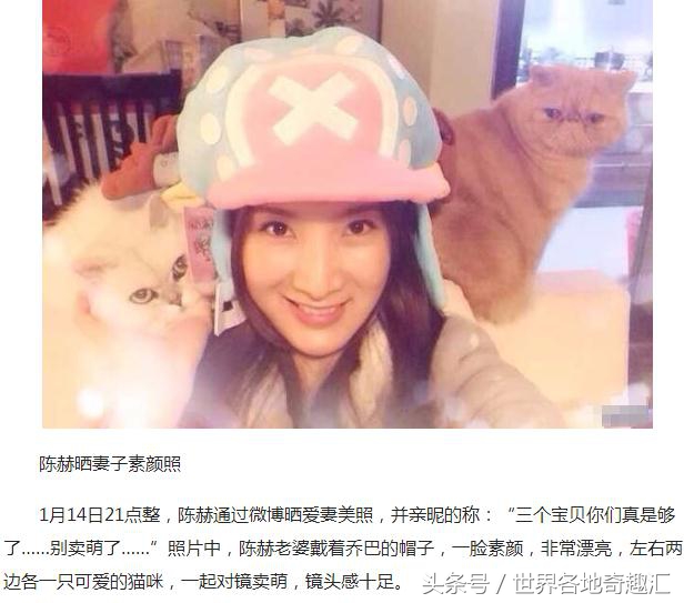 陈赫抱猫咪是什么猫,陈赫养了多少只猫