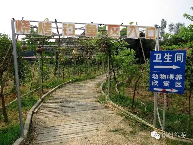 钦州周末出游攻略,钦州乡村旅游攻略