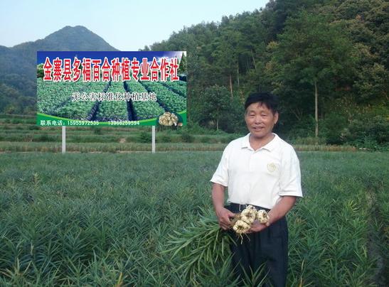 大别山中大金寨，这23个乡镇貌美如花，十一你不来？