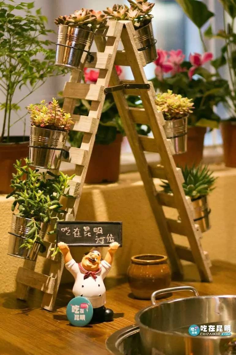 正宗的耗儿鱼火锅,成都排名第一耗儿鱼火锅