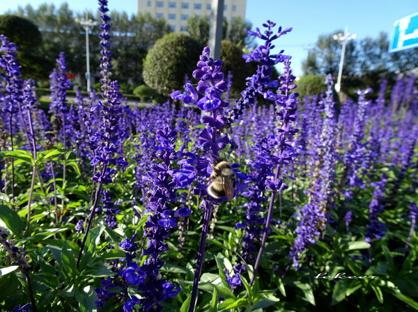 额滴个神!一枚老男人居然在黑河疯狂购物直到手软!