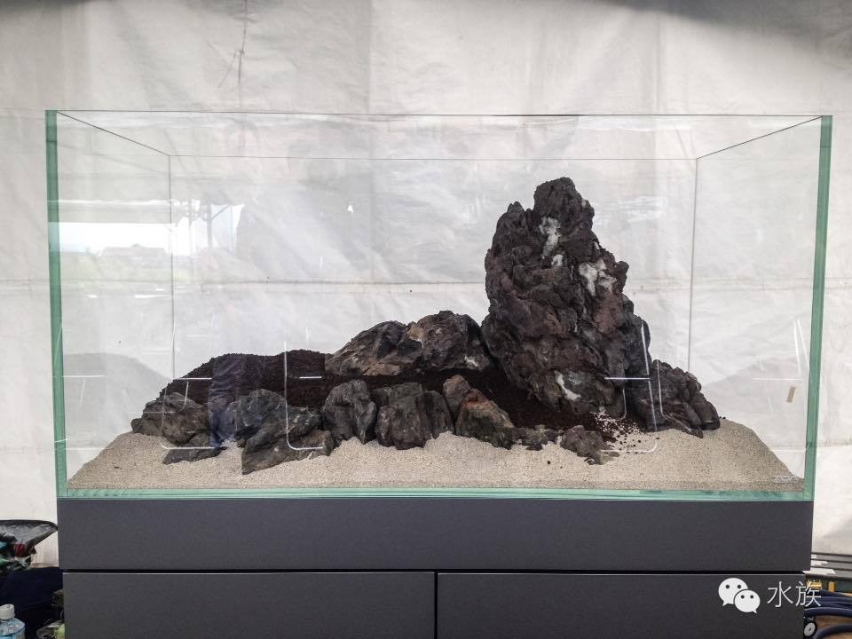 ada开缸第二天,ada开缸